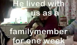 做爱全过程视频