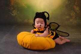 娱乐吃瓜小蜜蜂,揭秘娱乐圈那些不为人知的幕后故事